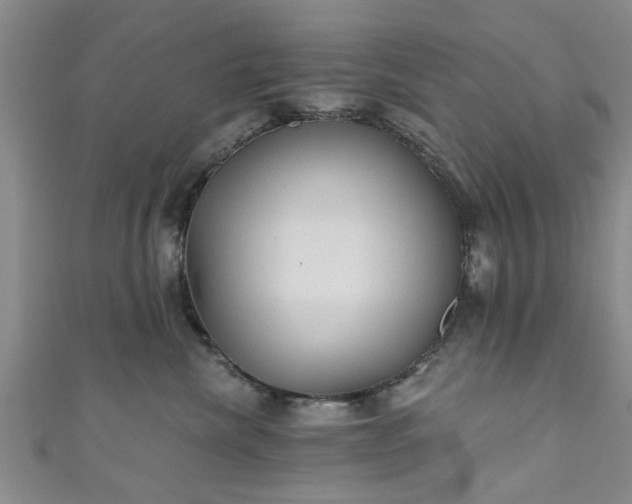 X0000110940476200906261304