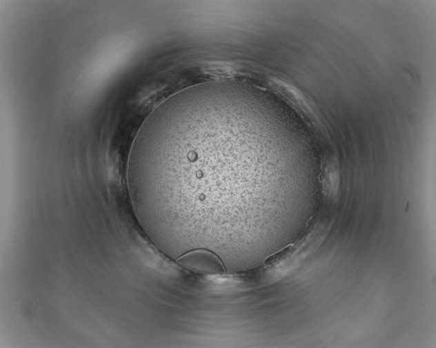 X0000110940477200906261304