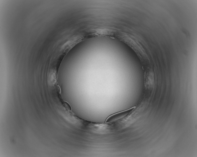 X0000110940478200906261304