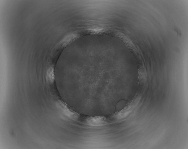 X0000110940479200906261304