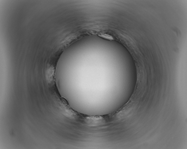 X0000110940480200906261304