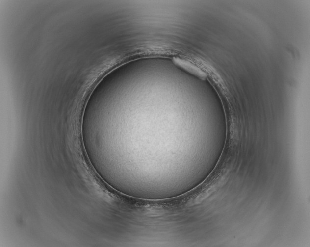 X0000110940481200906261304