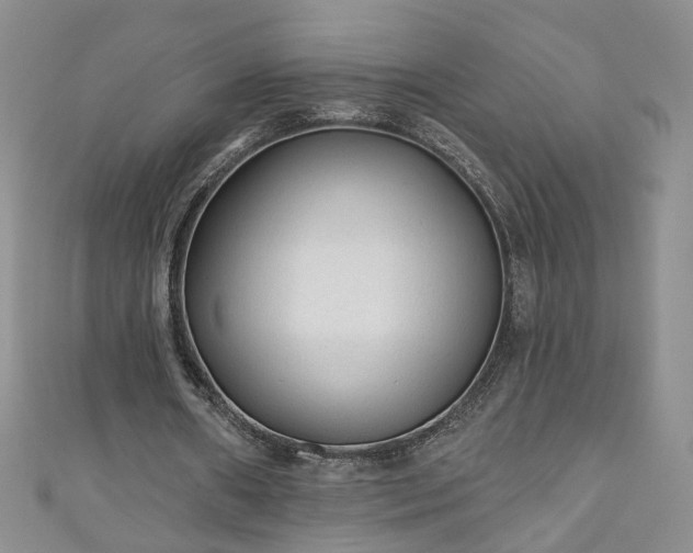 X0000110940482200906261304