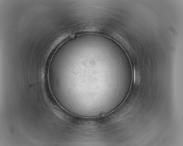 X0000110940483200906261304