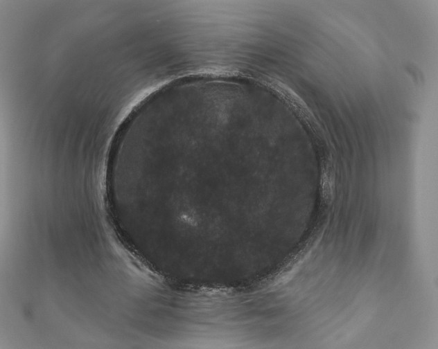 X0000110940484200906261304