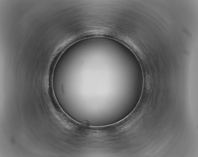 X0000110940486200906261304