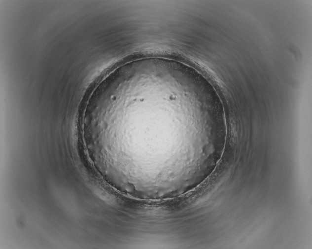 X0000110940487200906261304