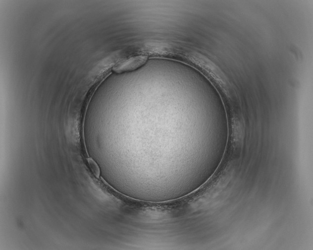 X0000110940489200906261303