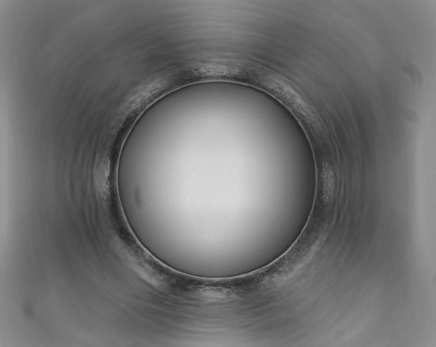 X0000110940490200906261303