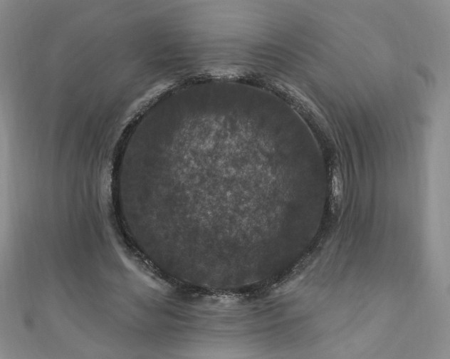 X0000110940492200906261303