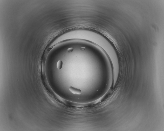 X0000110940493200906261303