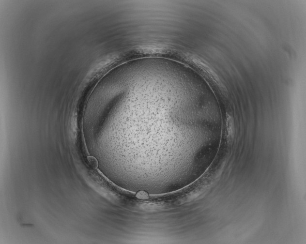 X0000110940494200906261303