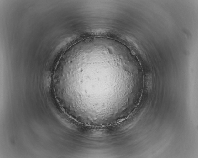 X0000110940495200906261303