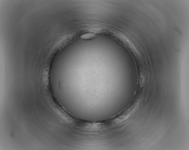 X0000110940497200906261303