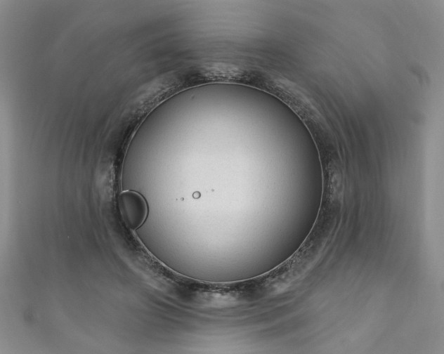 X0000110940498200906261303