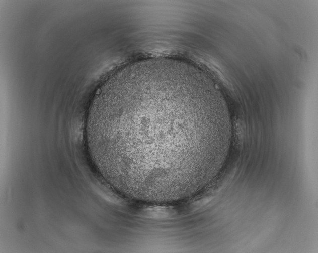 X0000110940499200906261303