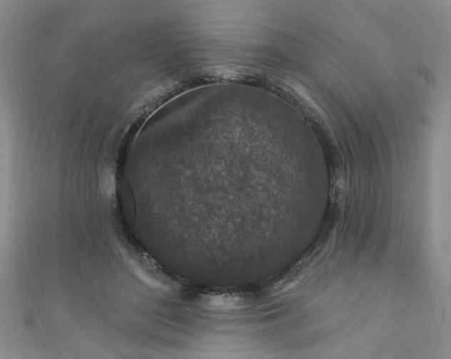 X0000110940500200906261303