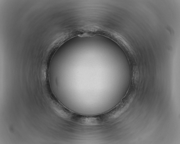 X0000110940501200906261303