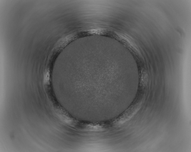 X0000110940502200906261303