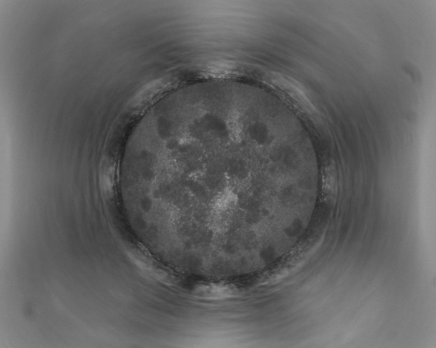 X0000110940503200906261303