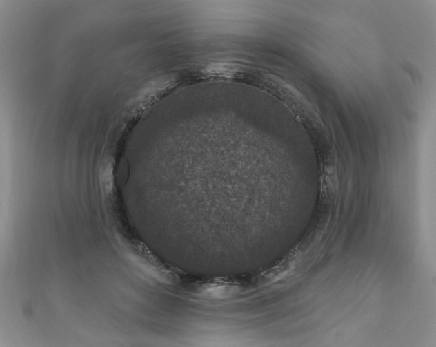 X0000110940504200906261303