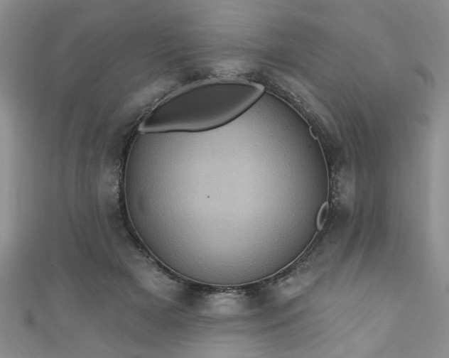 X0000110940505200906261303