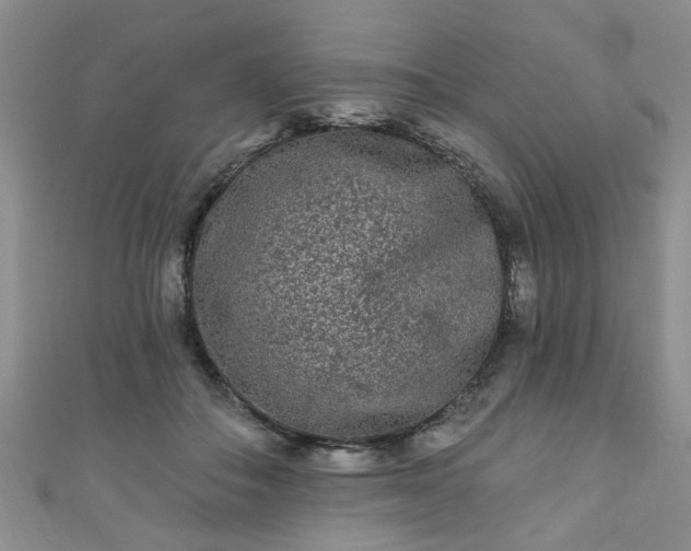 X0000110940506200906261303