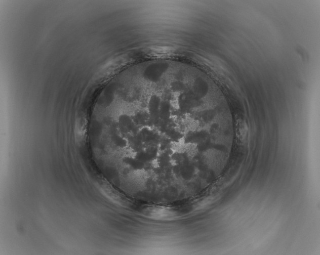 X0000110940507200906261303