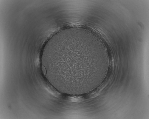 X0000110940508200906261303