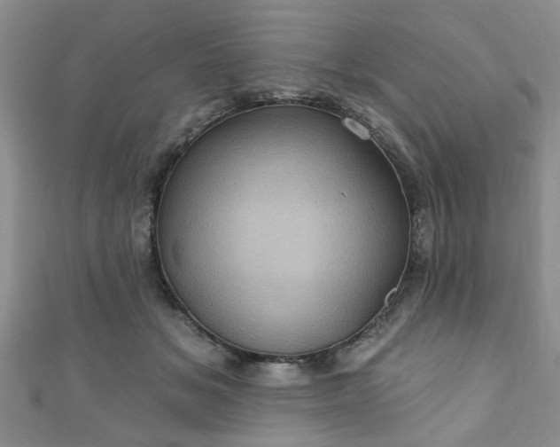 X0000110940509200906261303