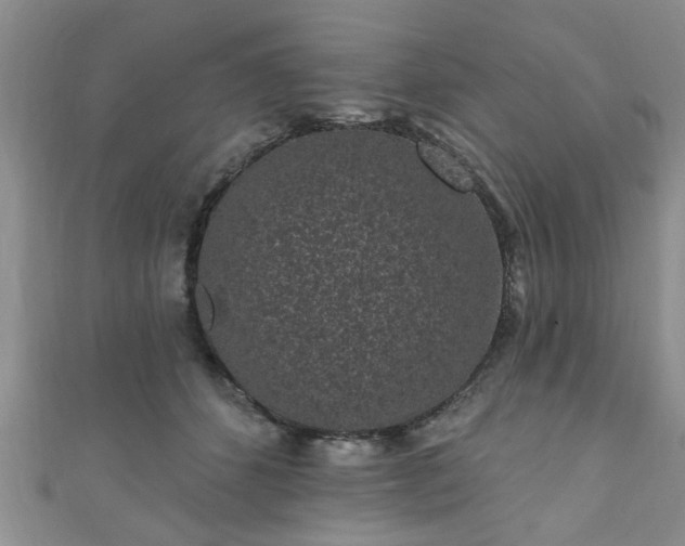 X0000110940512200906261303