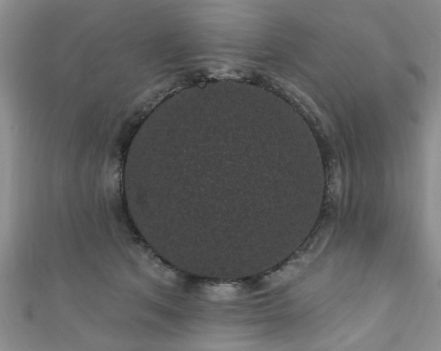 X0000110940513200906261303