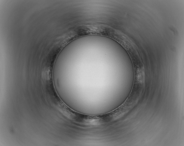 X0000110940514200906261303