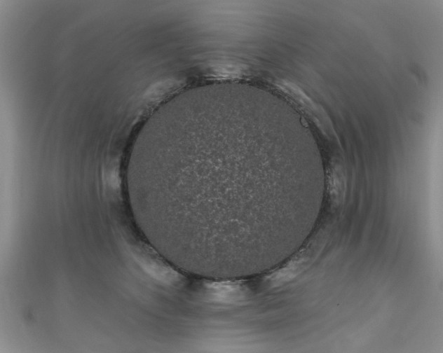 X0000110940516200906261303