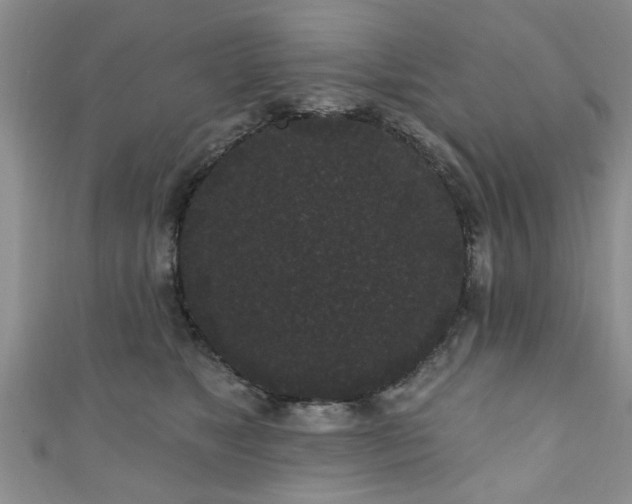 X0000110940517200906261303