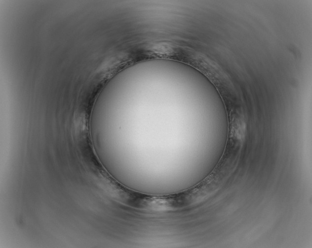 X0000110940518200906261303