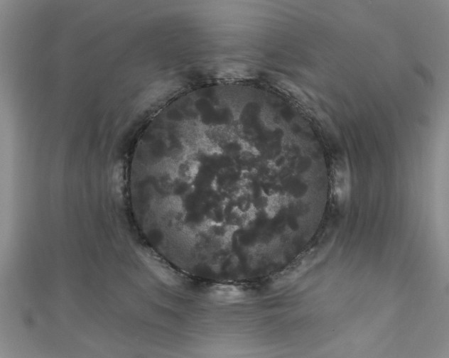 X0000110940519200906261303