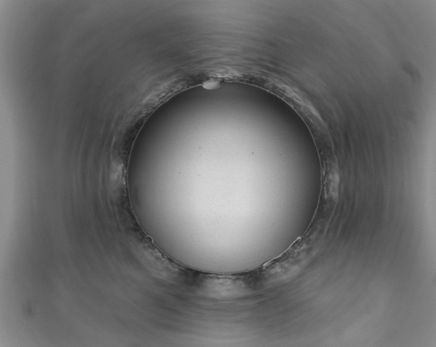 X0000110940521200906261303