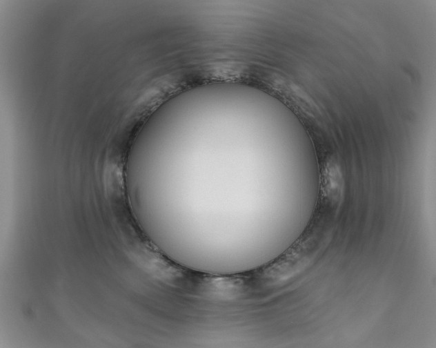 X0000110940522200906261303