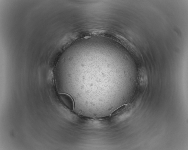 X0000110940523200906261303