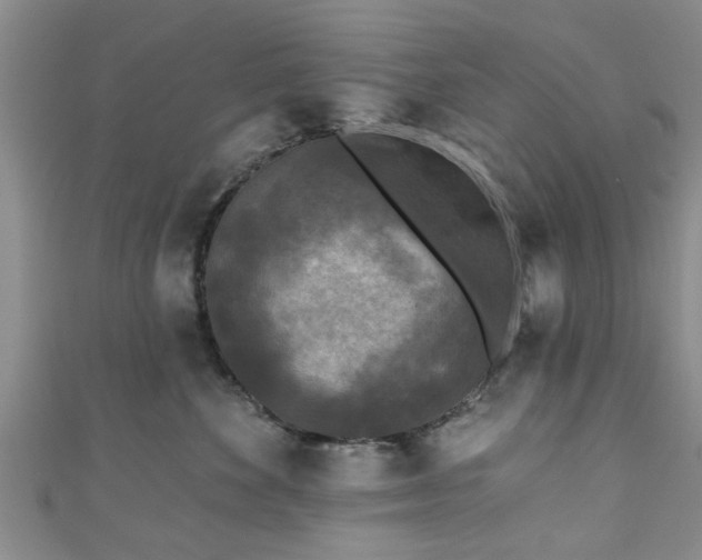 X0000110940524200906261303