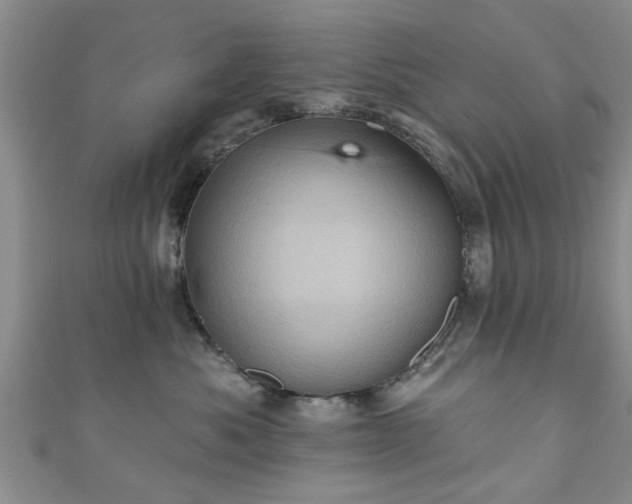 X0000110940525200906261303