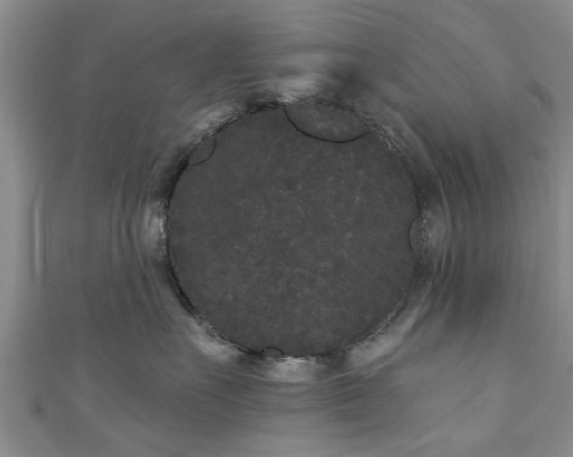 X0000110940527200906261303