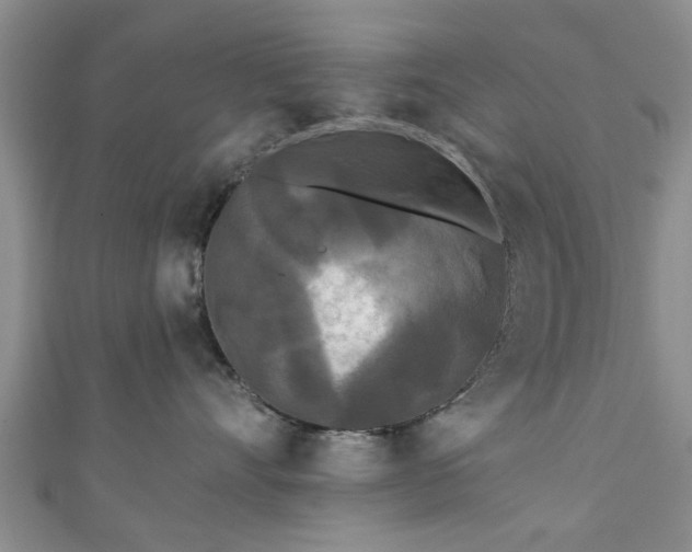 X0000110940528200906261303