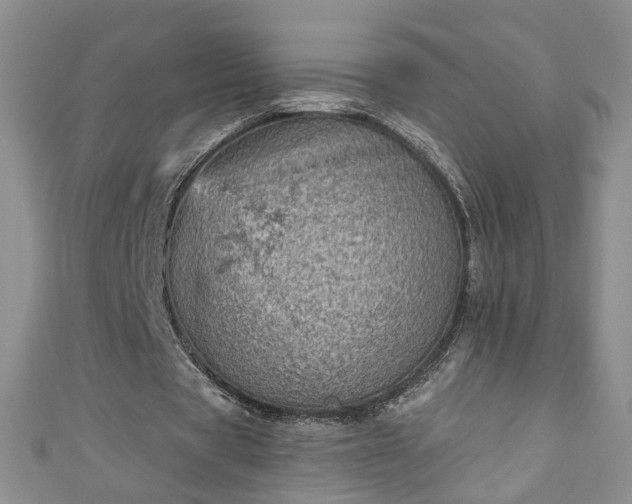 X0000110940529200906261302