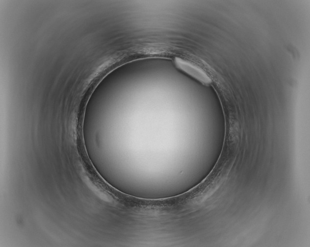 X0000110940530200906261302