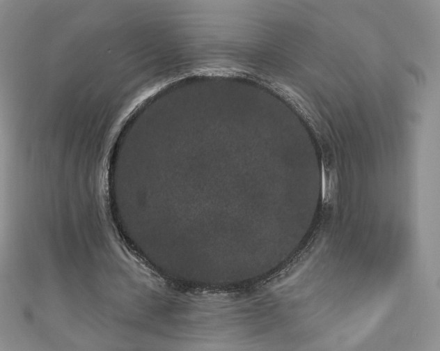 X0000110940531200906261302