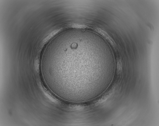 X0000110940533200906261302