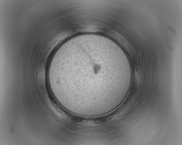 X0000110940534200906261302