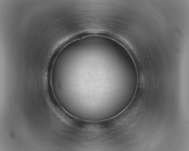 X0000110940535200906261302